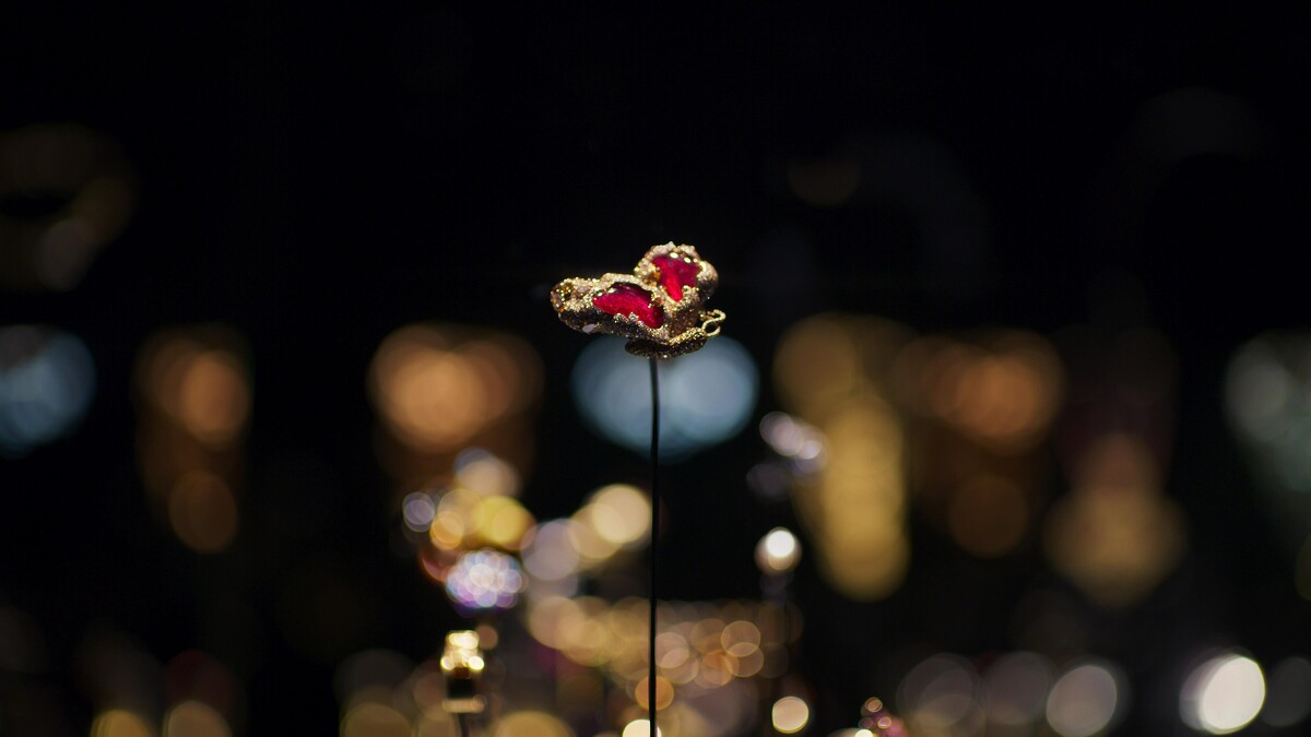 2020年法國巴黎裝飾藝術博物館永久納館典「 紅寶側飛蝴蝶」 博物館典藏展覽室照片