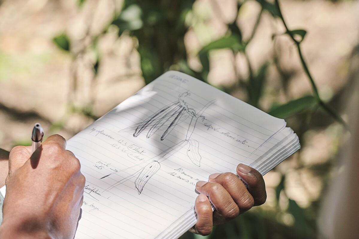 珍貴的五月梵尼蘭具備深度賦活特性，由一群充滿熱忱的工匠於自然環境中培育栽種。