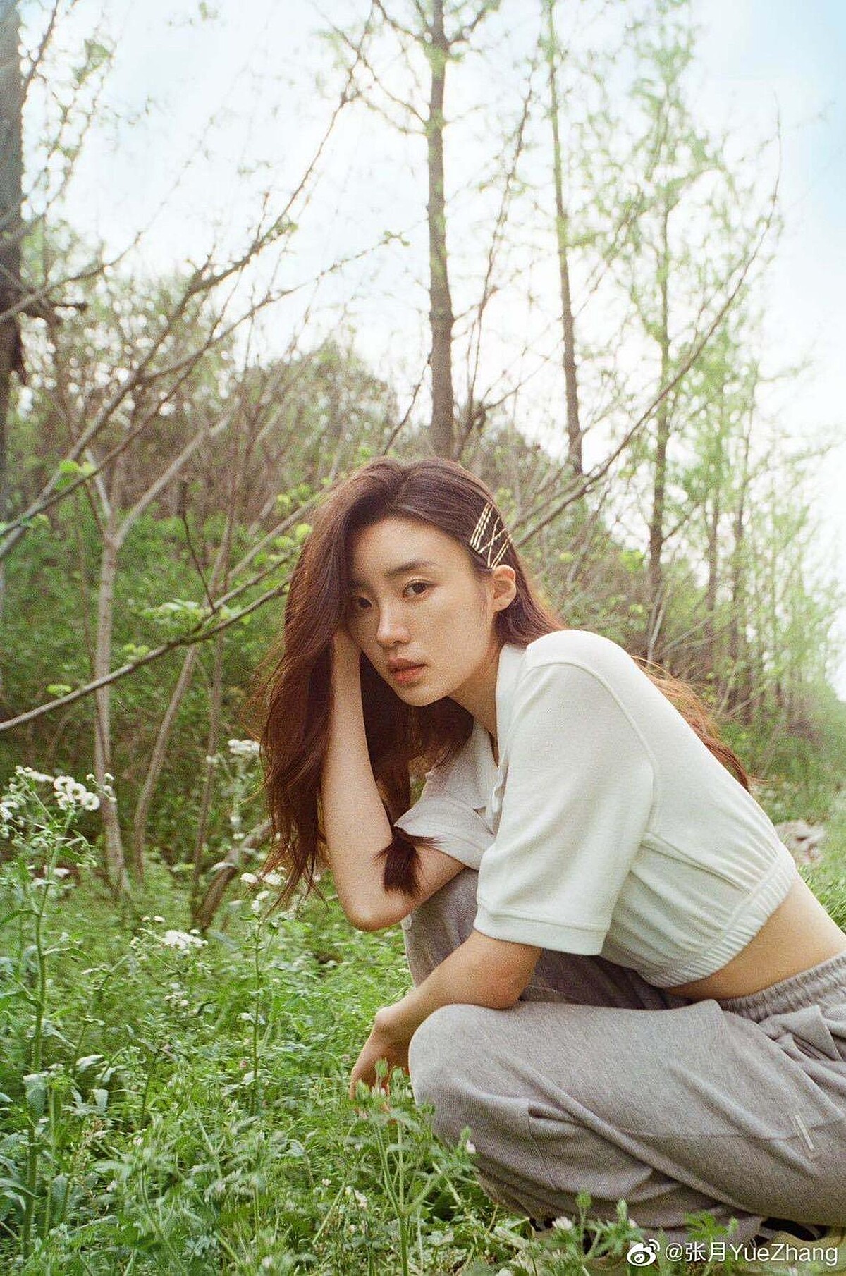 張月