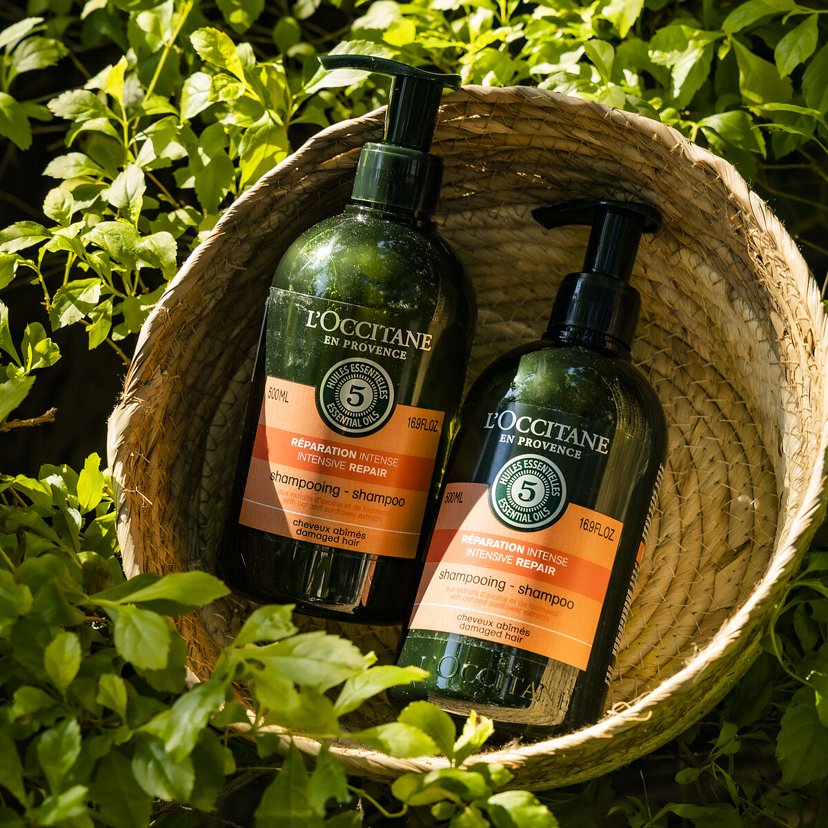 內含：草本修護洗髮乳500ml*2 NT2,020 (原價NT2,800，72折)