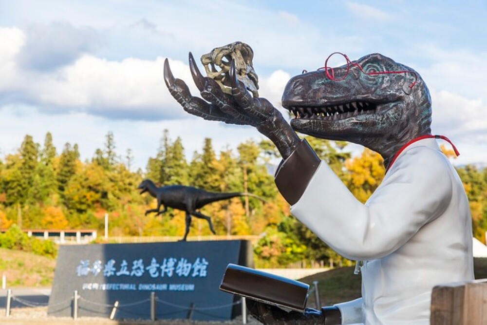 (來源/公益社団法人福井県観光連盟)