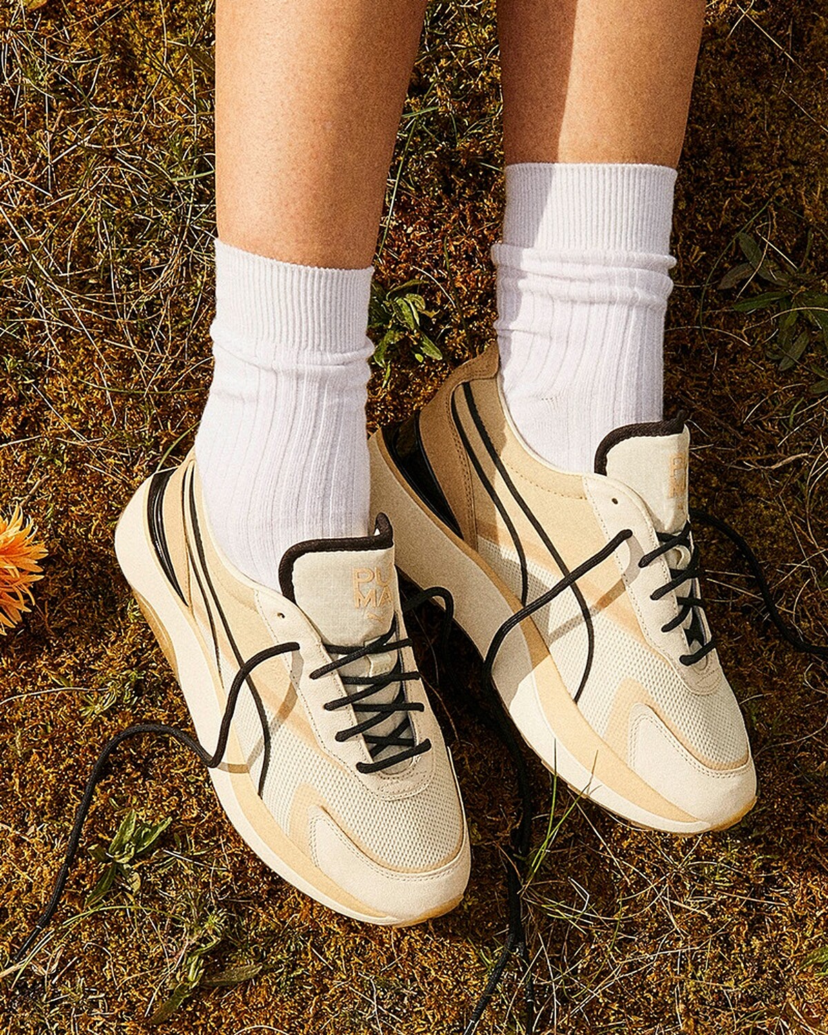 Cruise Rider，NT3,880