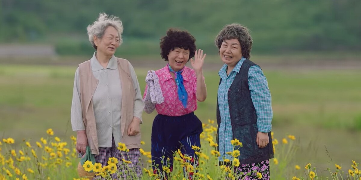 《海岸村恰恰恰》坎離奶奶給我們的勇氣