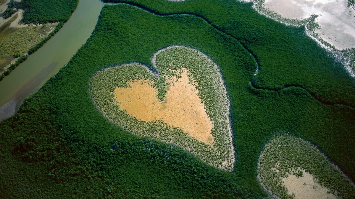 C&oelig;ur de Voh en 1990, Nouvelle-Cal&eacute;donie, France (20&deg;56&rsquo; S &ndash; 164&deg;39&rsquo; E).Heart in Voh, New Caledonia (French Overseas Territory) (20&deg;56' S &ndash; 164&deg;39' E).YANN ARTHUS-BERTRAND