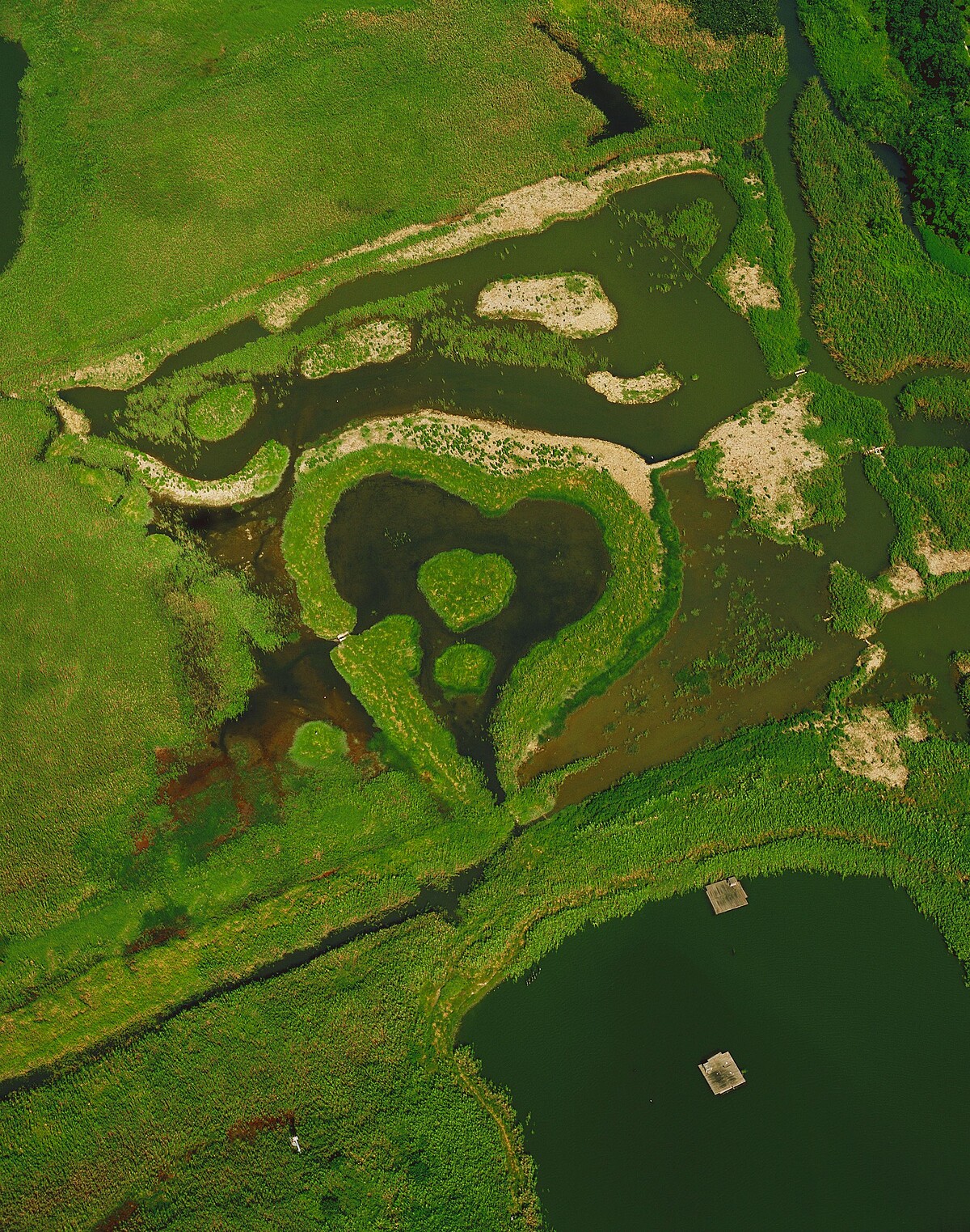 《看見&middot;齊柏林基金會_關渡之心》齊柏林 空中攝影。《財團法人看見・齊柏林基金會》提供 &copy;台灣阿布電影股份有限公司 版權所有