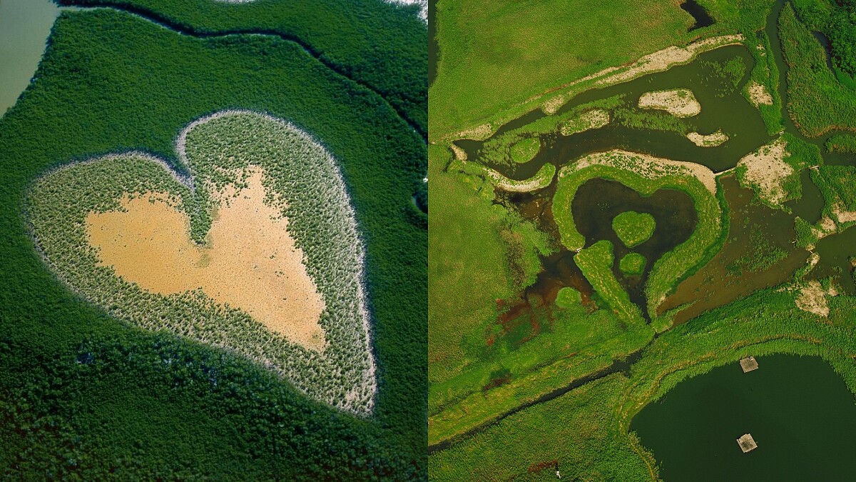 限時一週 YellowKorner 法國攝影藝廊Ｘ台北藝術博覽會聯展「齊柏林」從高空看見地球、看見福爾摩沙台灣