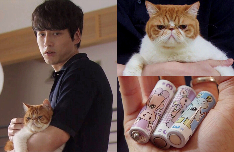 TBS只是在結婚申請書上蓋章 坂口健太郎.麻糬.吸睛的電池 Photo/Friday 影音截圖 