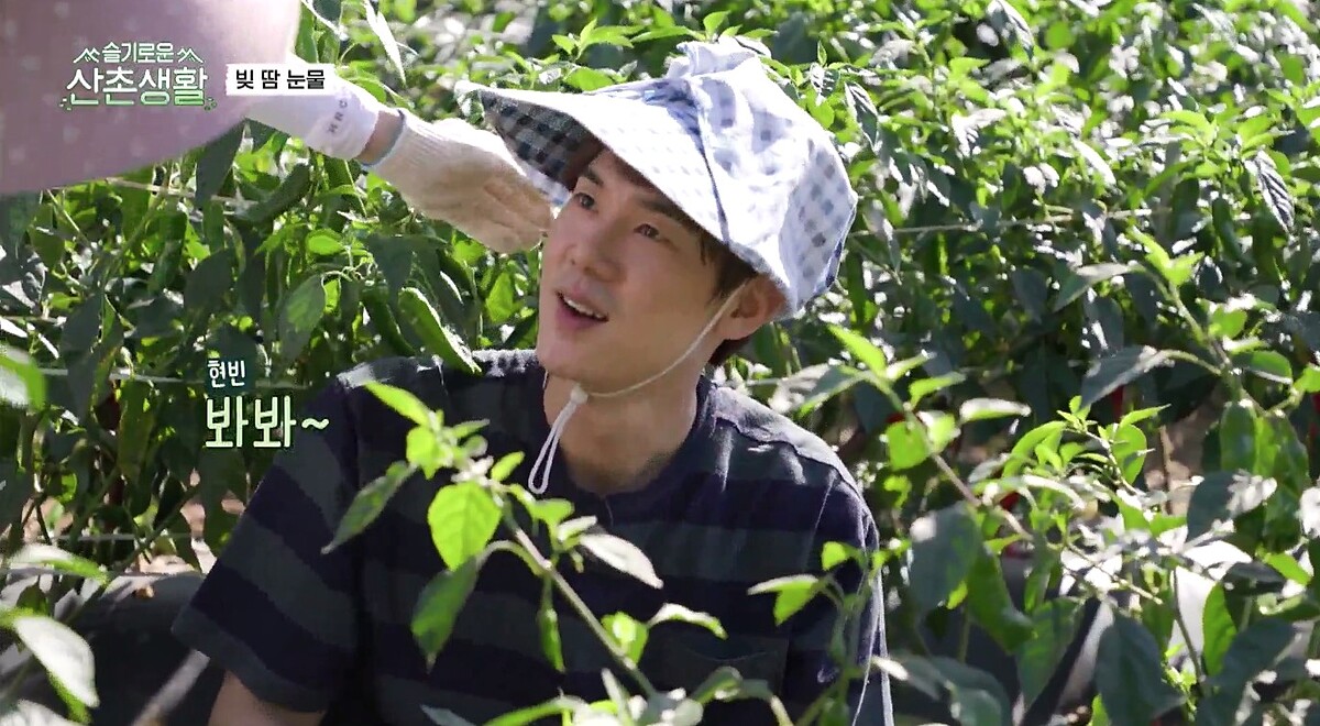 《機智山村生活》歡樂內容好療癒！