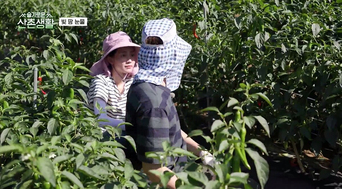 《機智山村生活》歡樂內容好療癒！