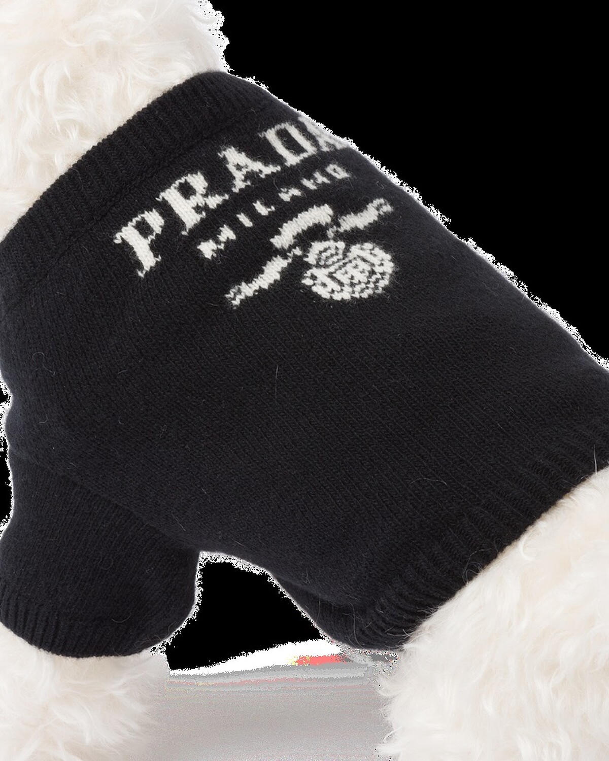 Prada寵物喀什米爾羊絨毛衣，NT17,000