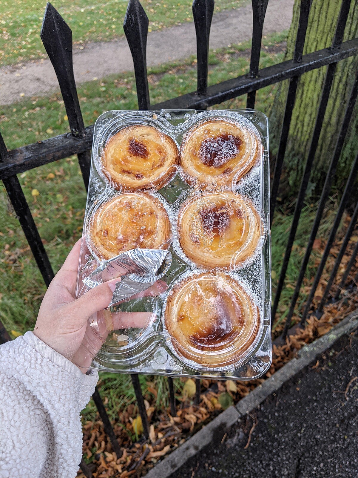 在Aldi買的剛出爐的塔。