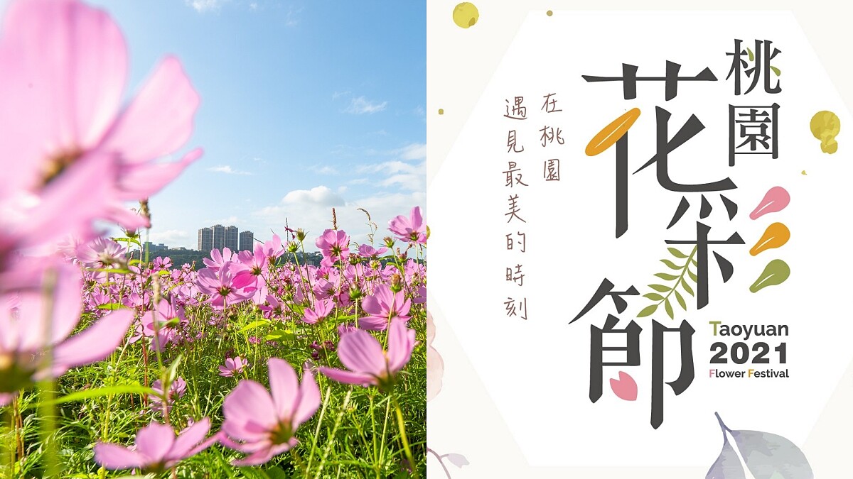 2021桃園花彩節雙展區接力綻放！巨型向日葵迷宮、夜間光雕花田超好拍