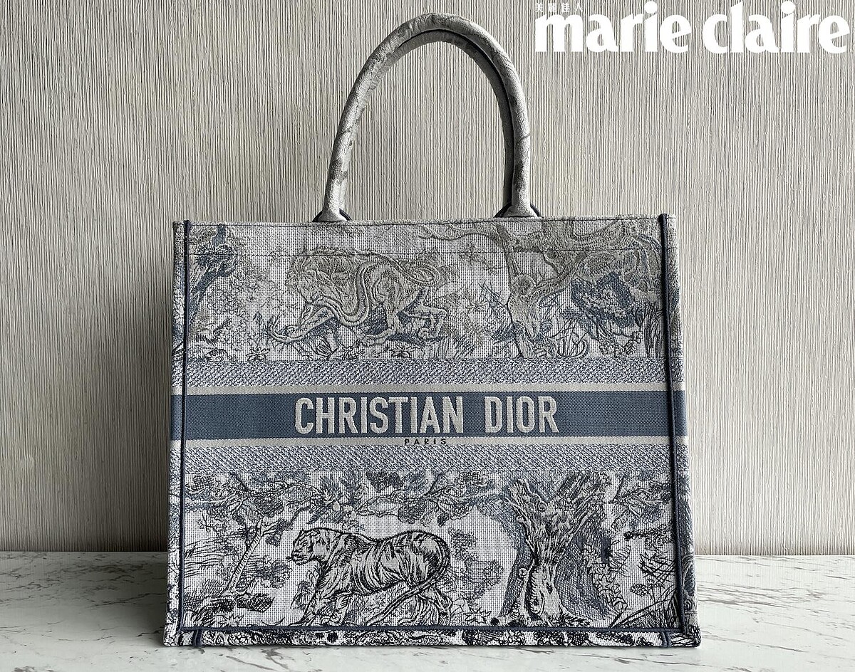 Dior Book Tote漸層色，NT$100,000