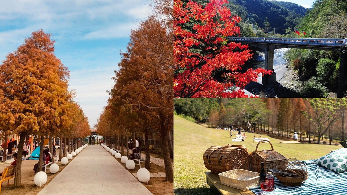 2021全台賞楓景點總整理!秋天6大勝地正轉紅、落羽松,美到彷彿飛出國