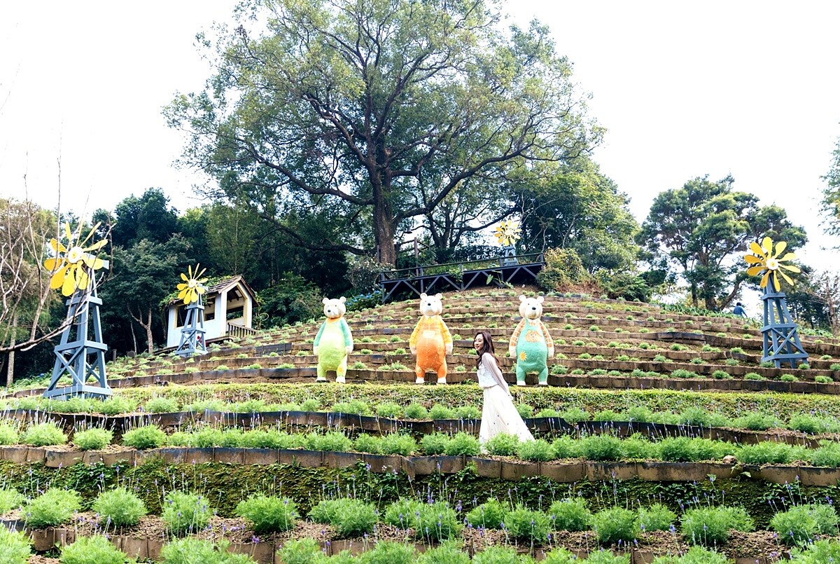 「風與花共舞」