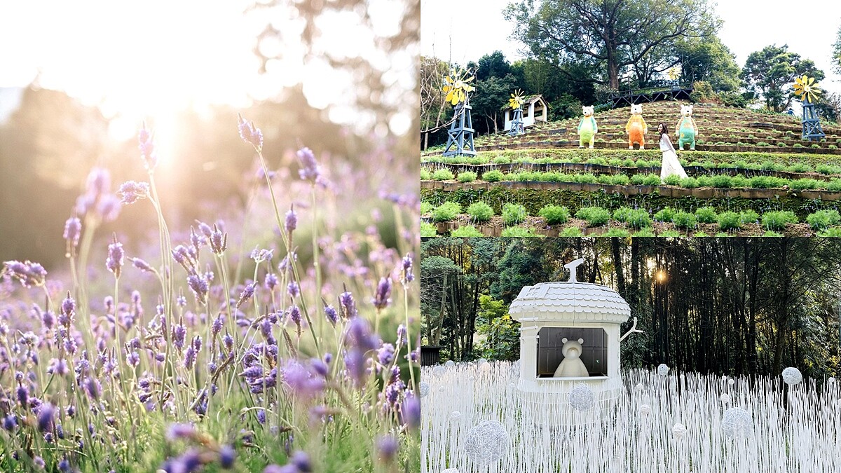 薰衣草森林20歲夢幻變身！翅果風車、純白花田美到必朝聖，更推出洗顏皂、香氛燭，把大自然氣息帶回家