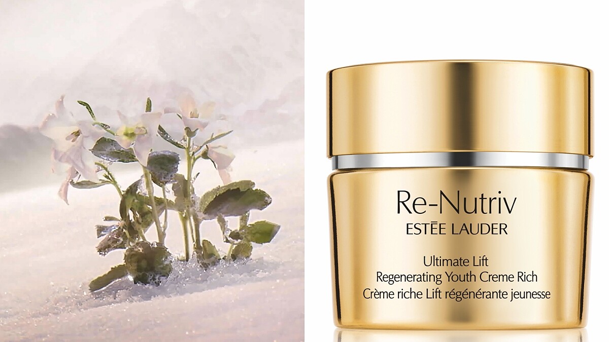 雅詩蘭黛白金級極萃賦活花秘乳霜的關鍵成份來自極地冰晶龍膽花。