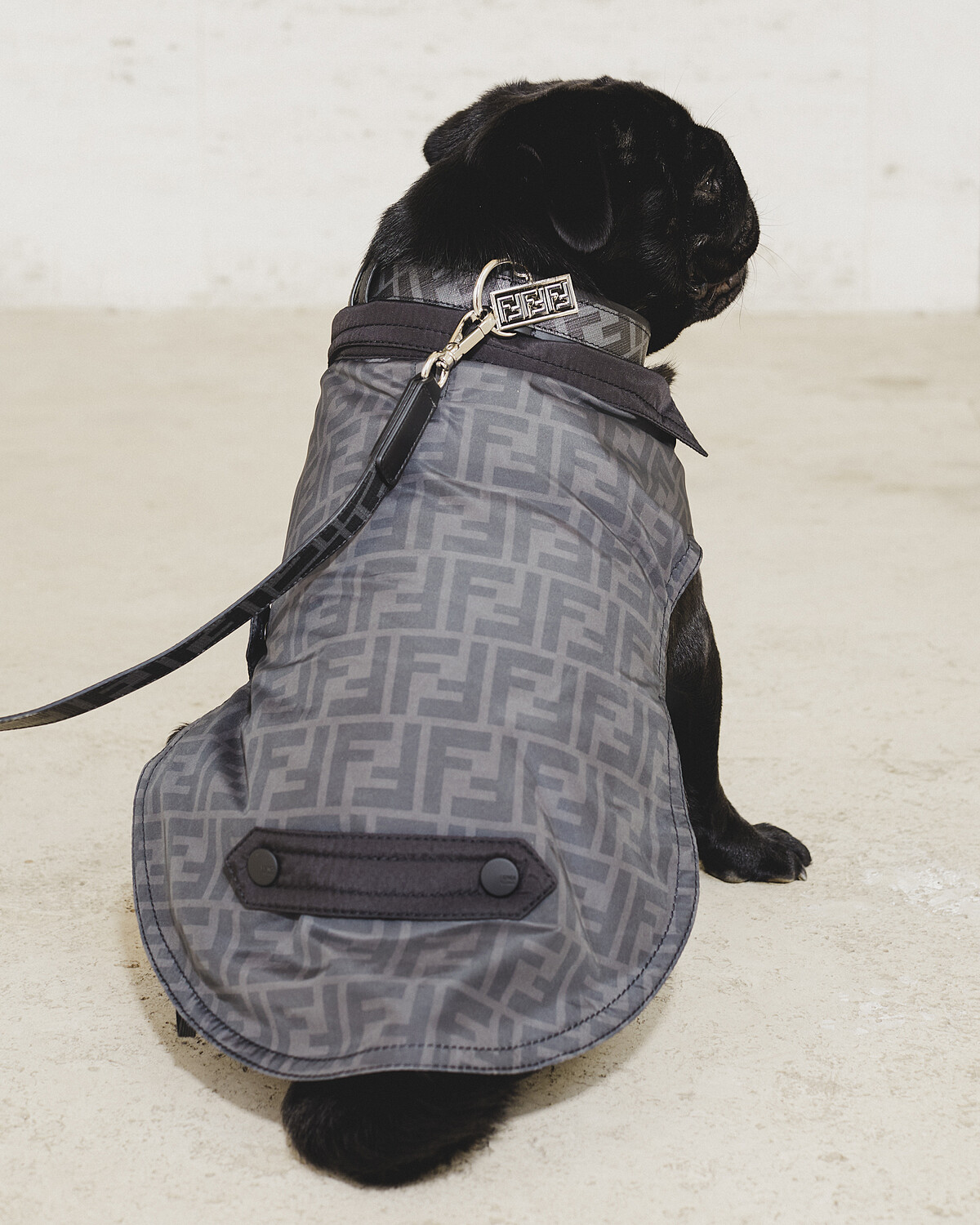 FF logo寵物外套，售價NT$14,500