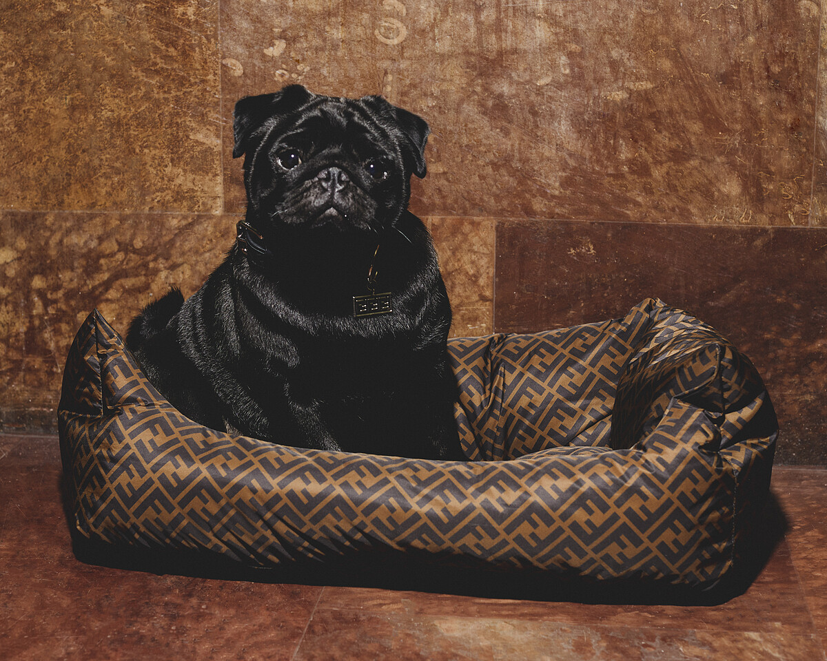 FF logo寵物床（小），售價NT$39,800