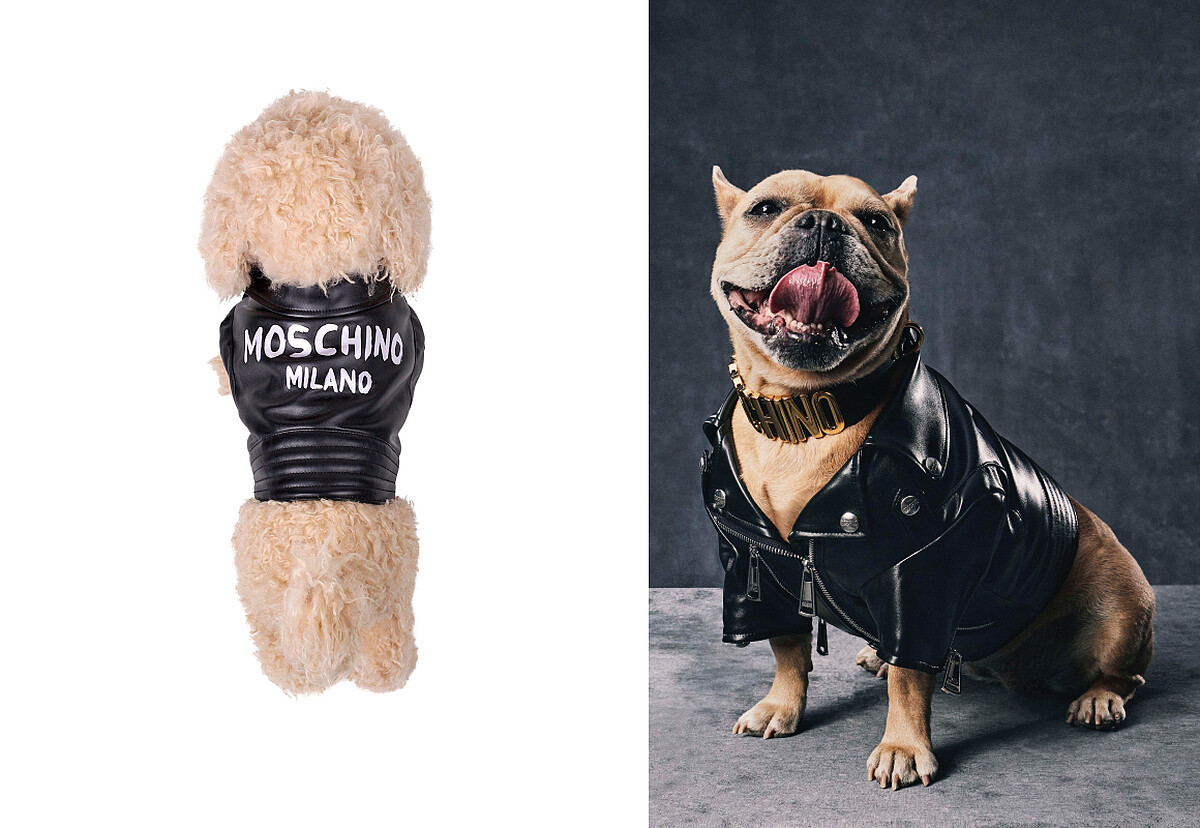 Moschino寵物皮衣，售價NT$19,500