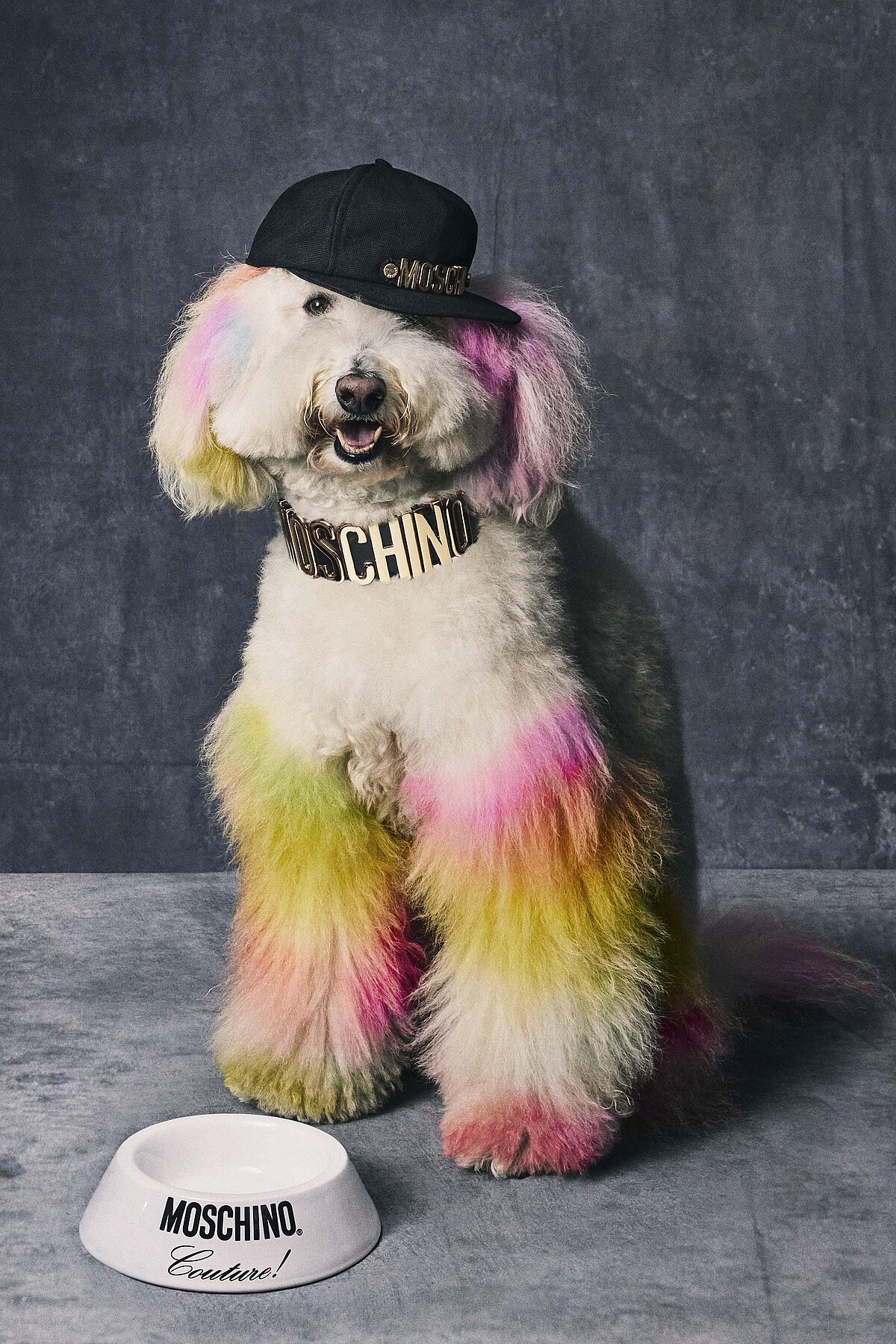 Moschino寵物陶瓷碗，售價NT$5,500