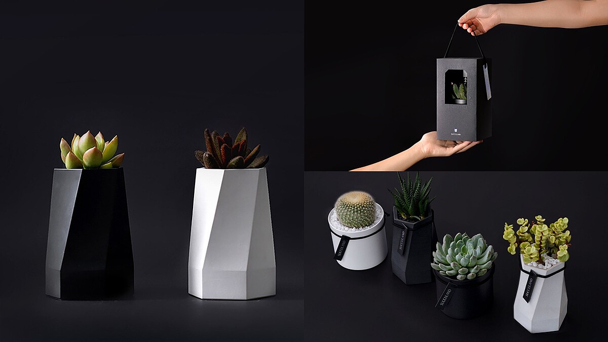 2021聖誕節送禮新選擇!「有肉」清水模幾何植栽質感噴發,還能搭配司康超療癒