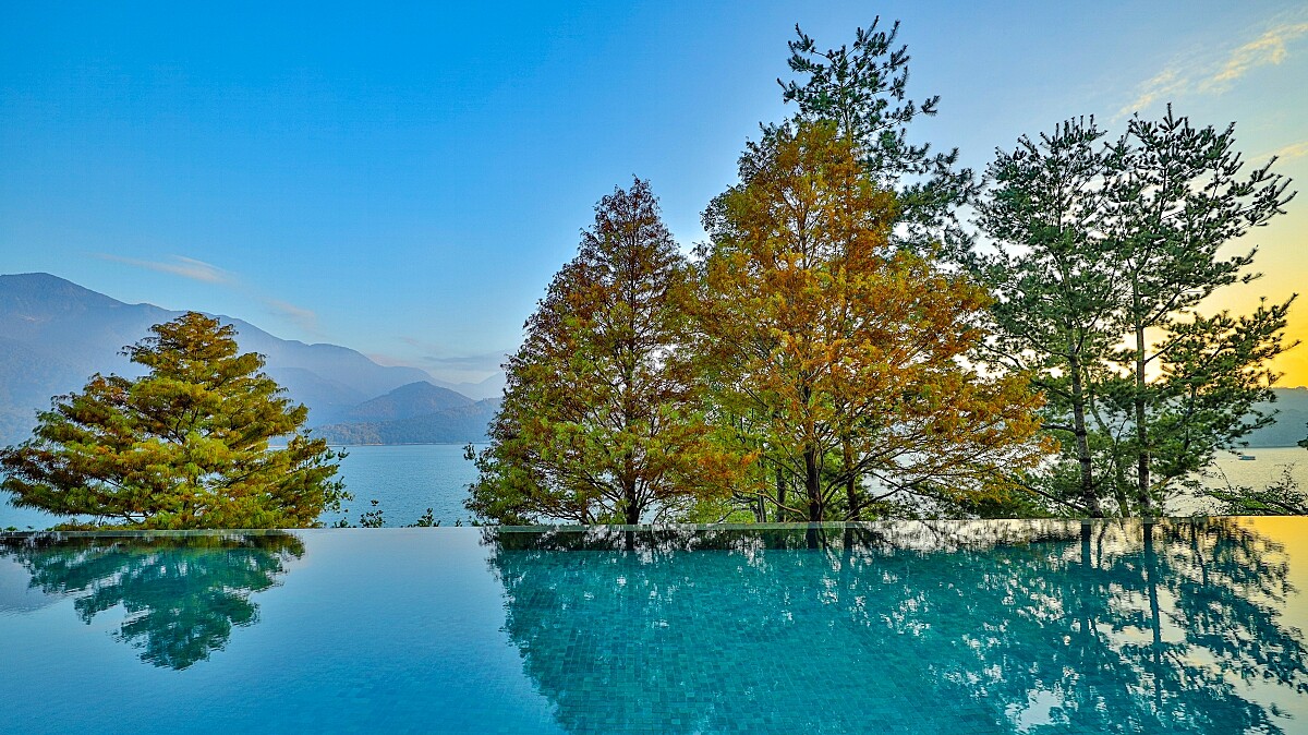 無邊際泳池前落羽松美景會在秋天登場