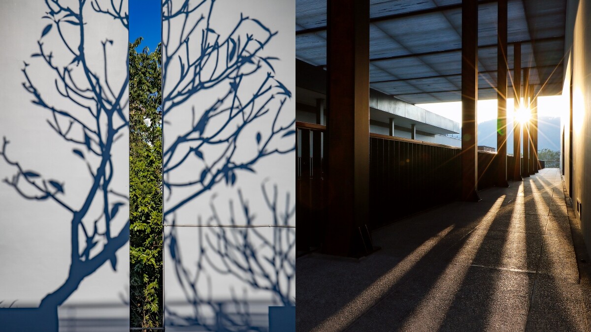 涵碧樓處處皆有迷人光影值得細細留心欣賞