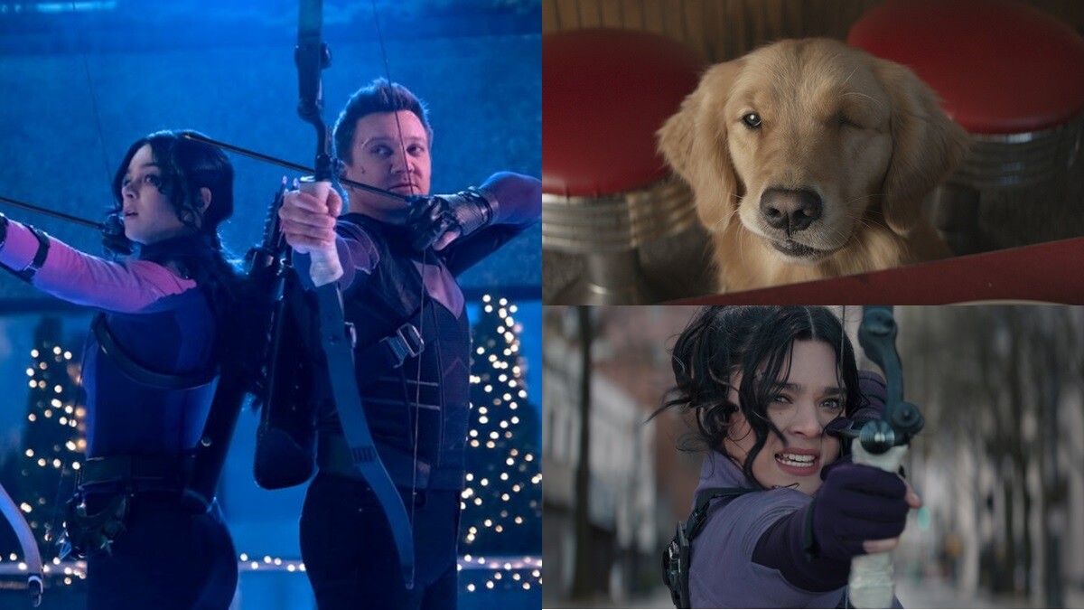 Disney+《鷹眼》影集5大亮點！除了年輕「女鷹眼」登場，超級英雄小跟班「披薩狗」萌翻