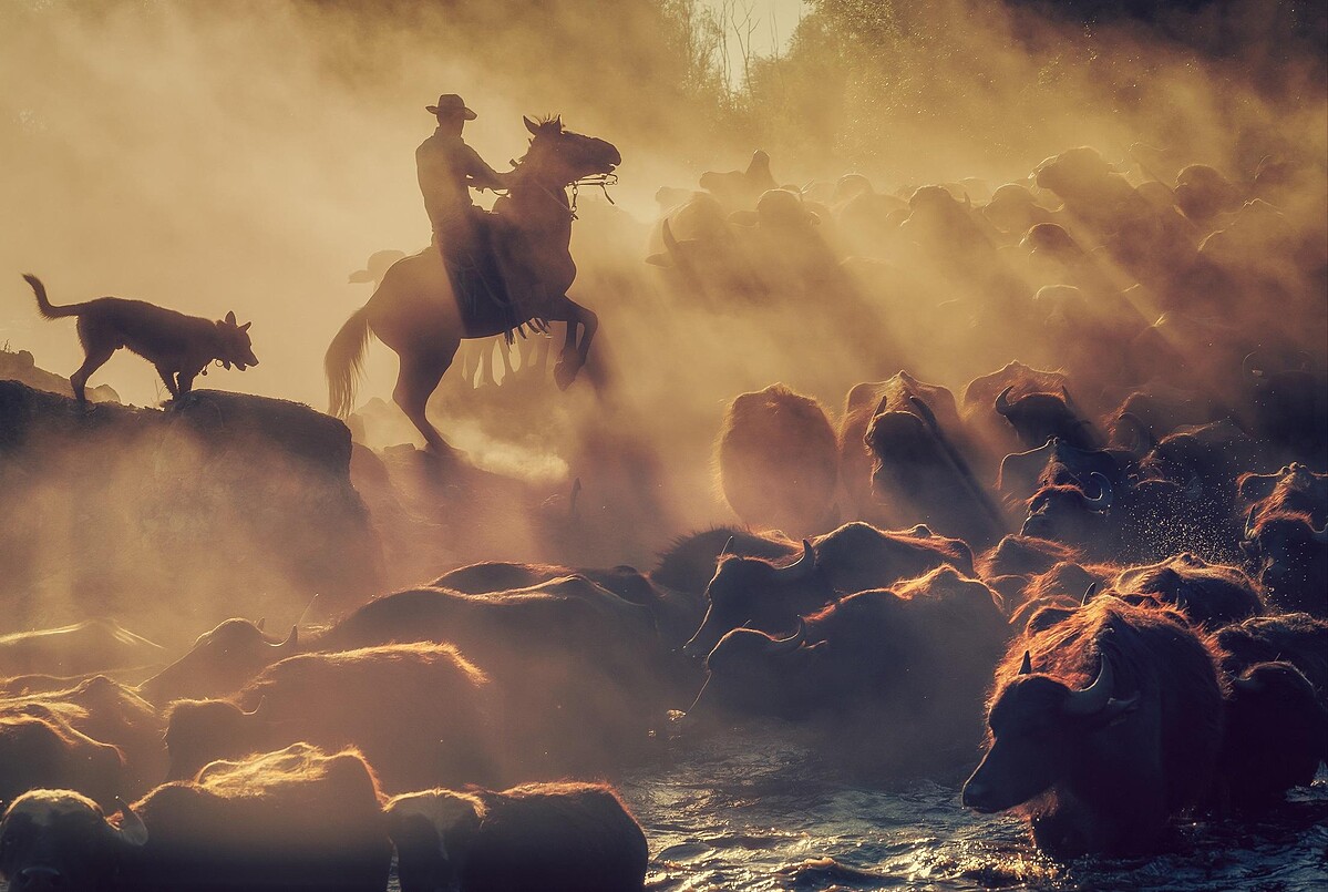 用光影說故事 - 渴牧歸家（The Buffalo Shepherd），土耳其Meri&ccedil; Aktar攝