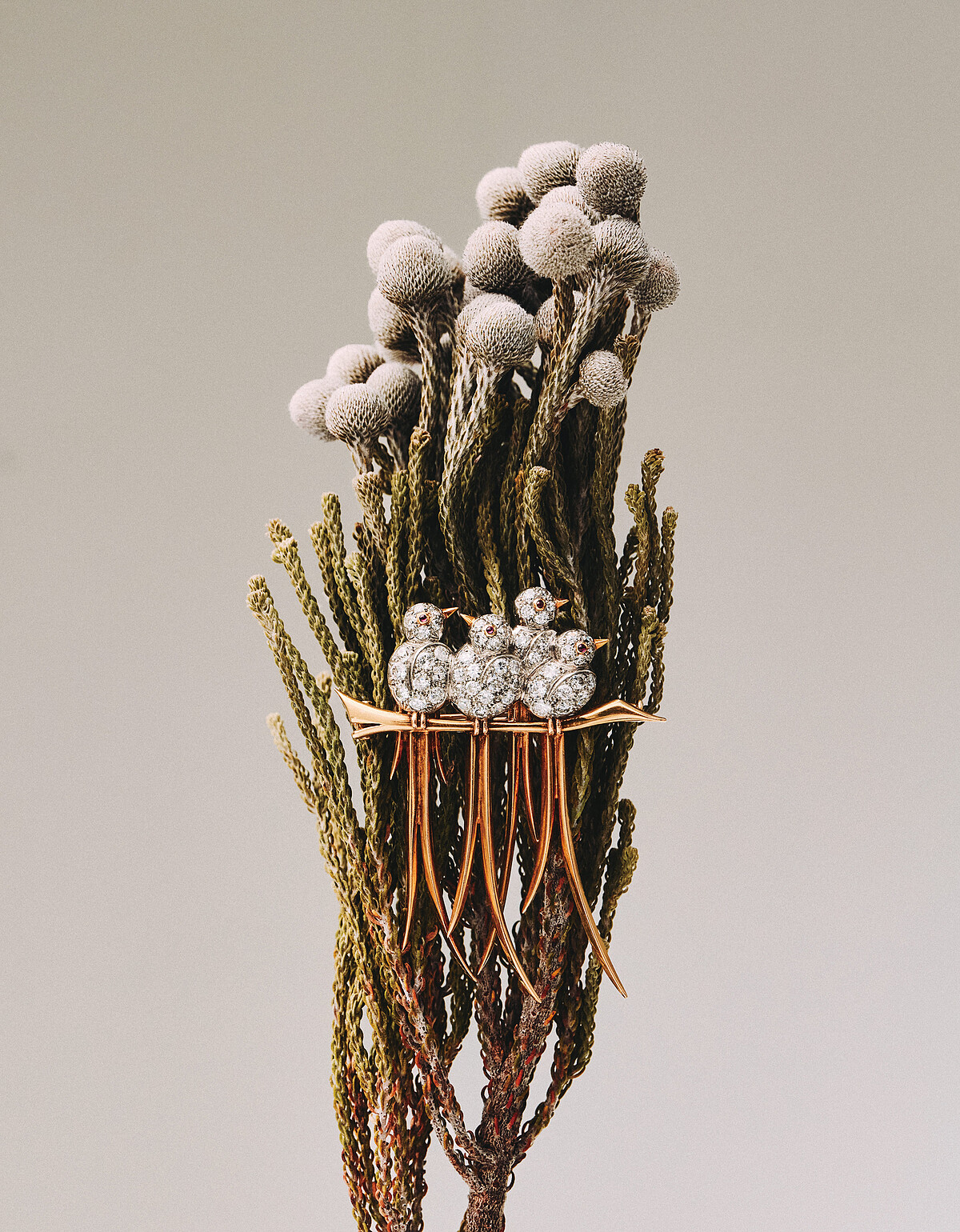 Heritage典藏系列Quatre oiseaux胸針，(1947年，黃K金、鉑金、玫瑰金、紅寶石、鑽石)。