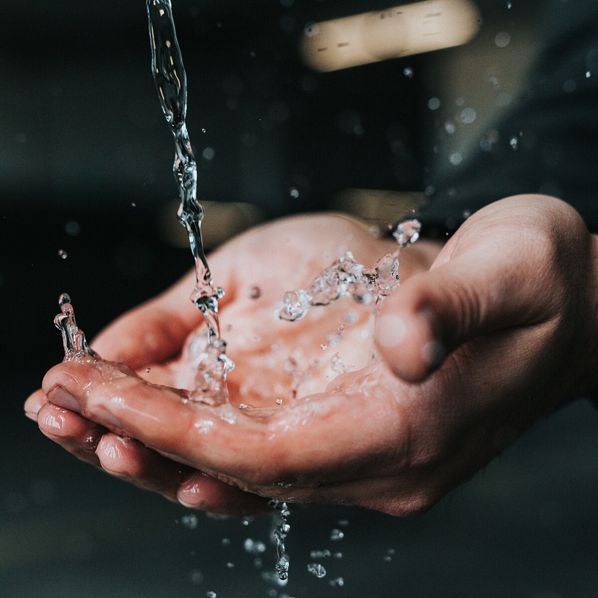 Photo by Nathan Dumlao on Unsplash.