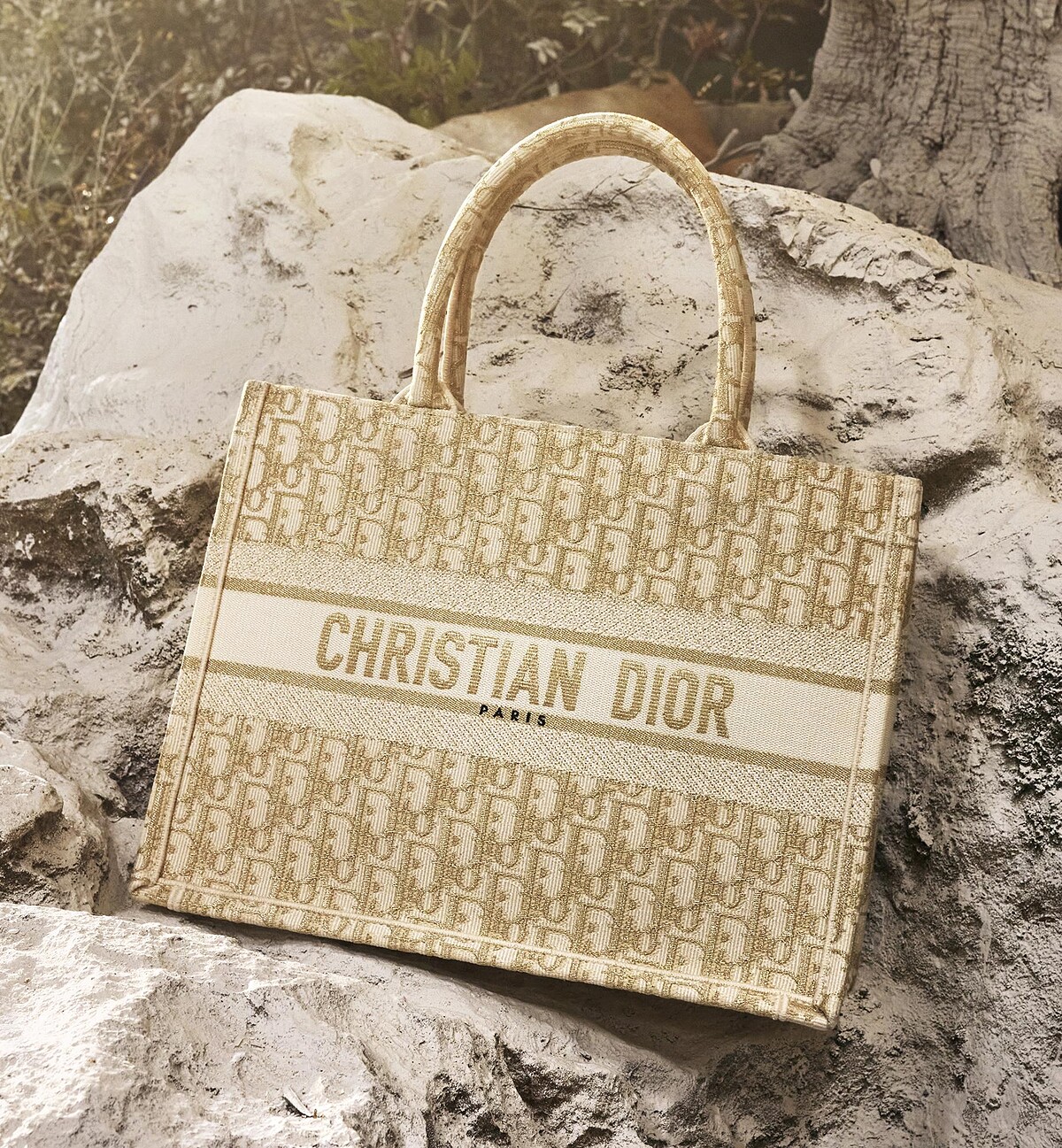 Dior Book淡金色Oblique斜紋刺繡帆布小型托特包，NT98,000