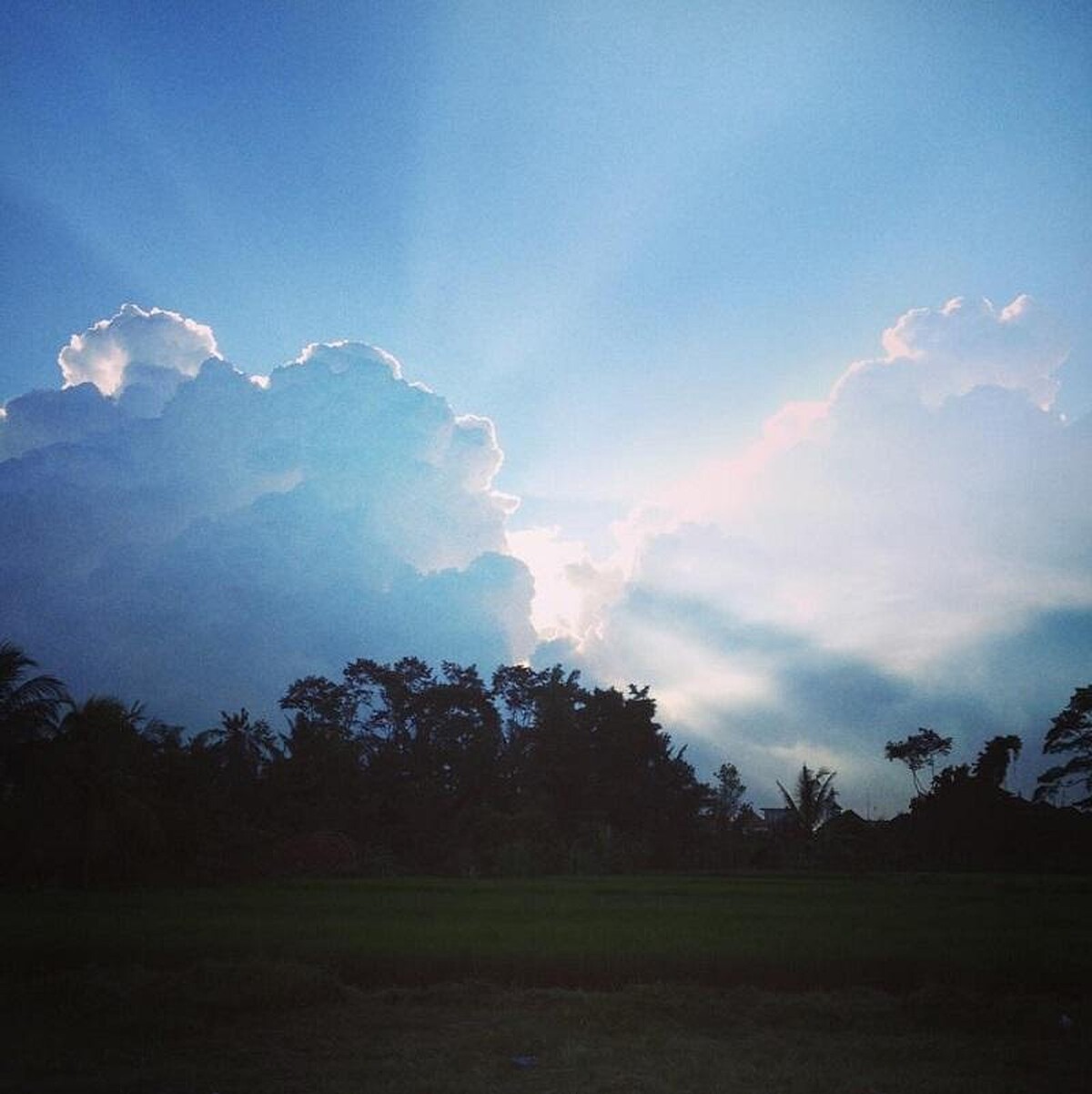 攝於峇里島烏布／celine