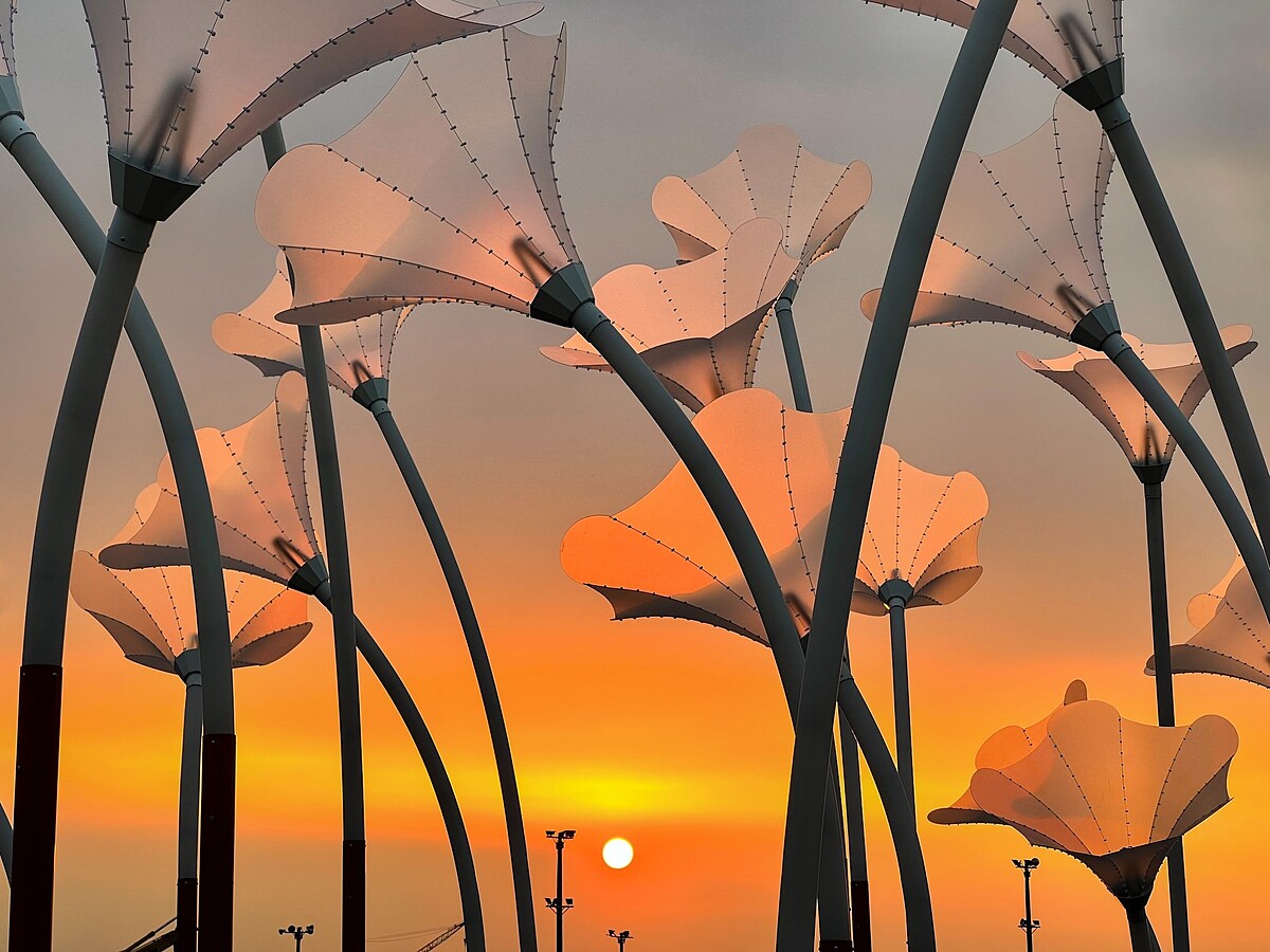 巨人的夢幻花園