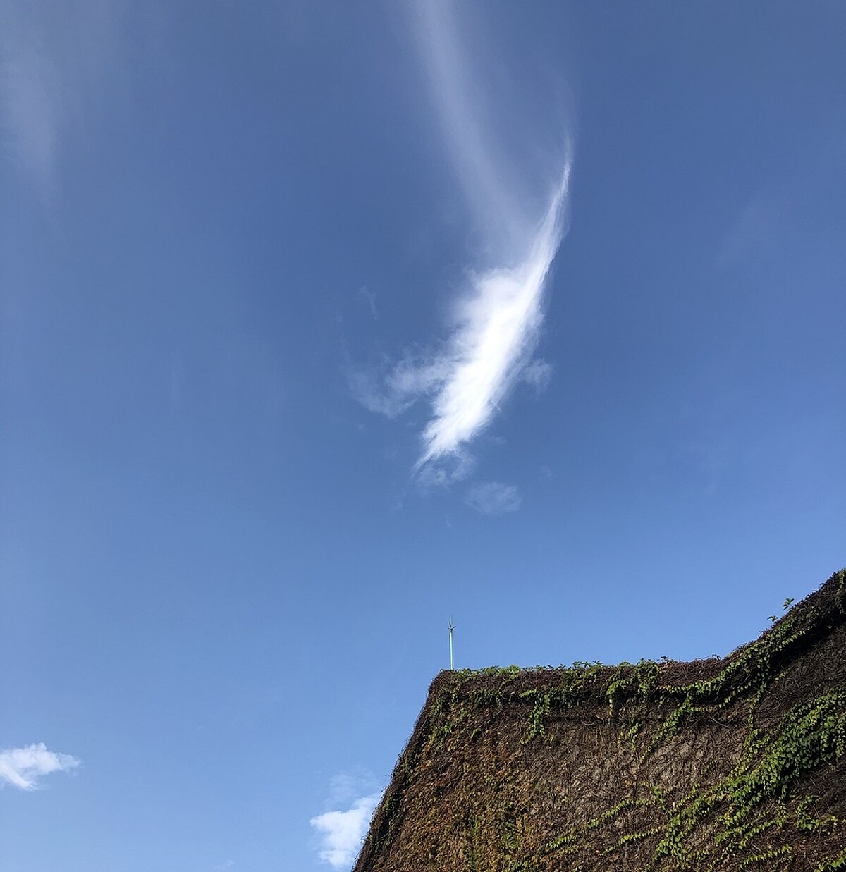 攝於華山／celine