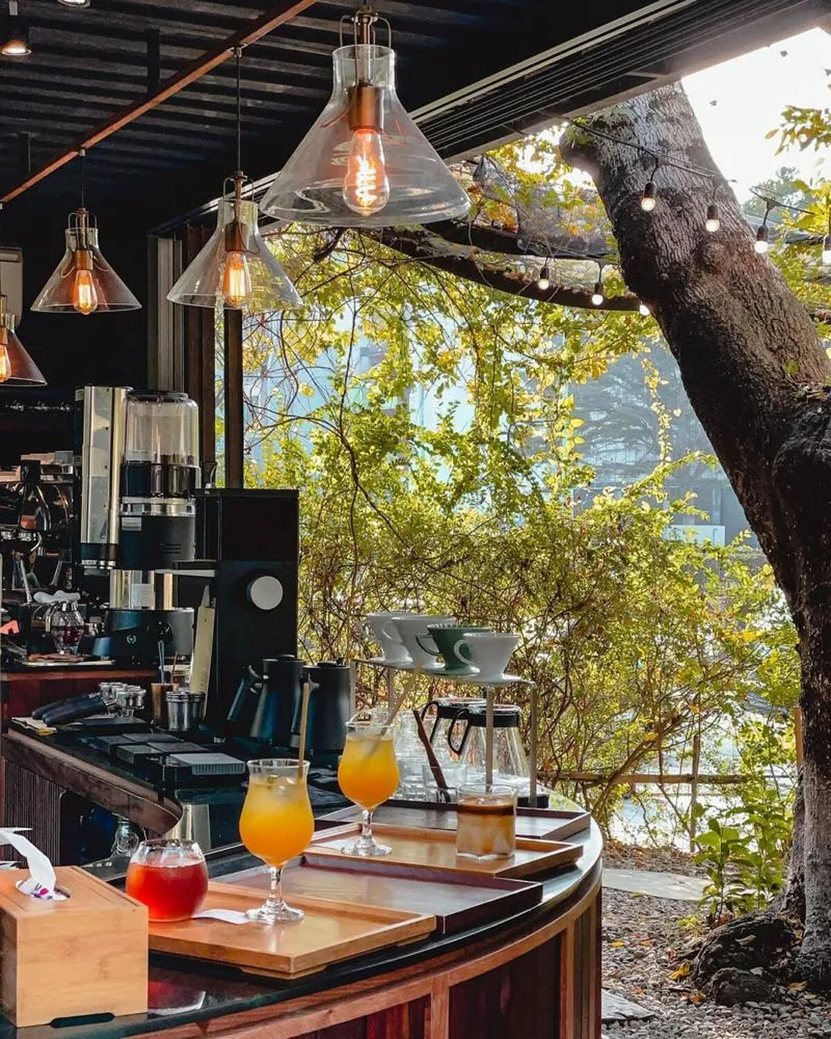 圖 / IG ＠muscle5310