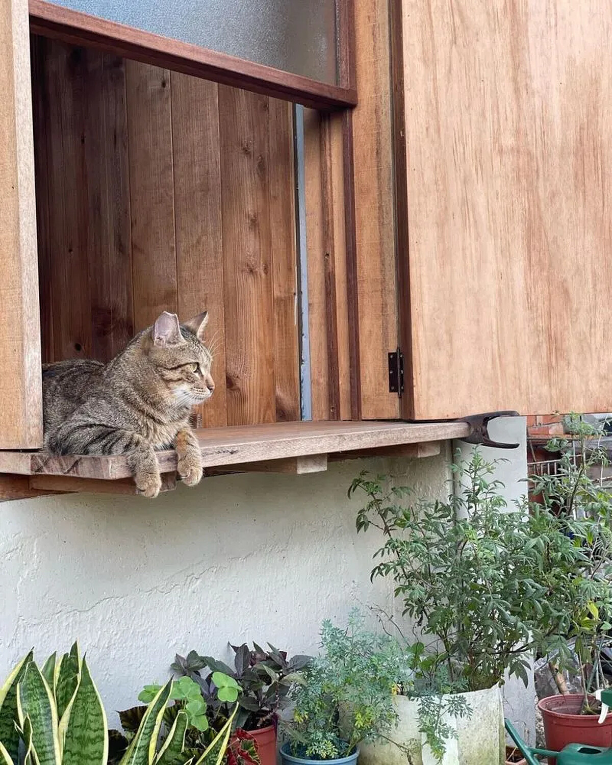 圖 / IG @babywalkeraries