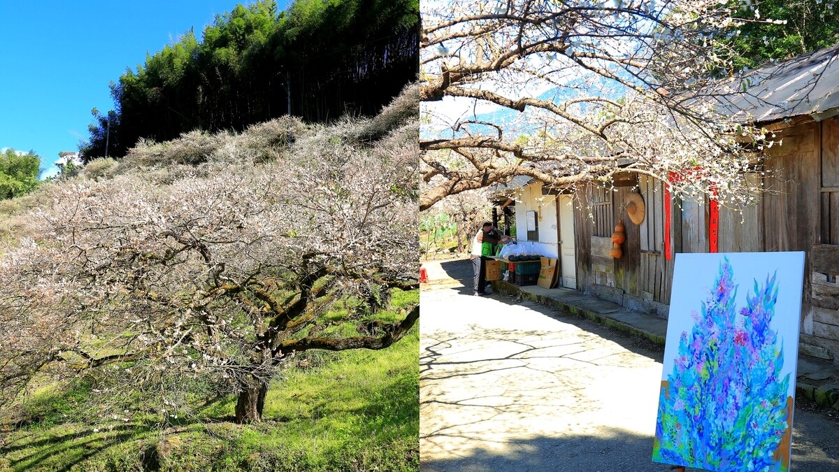 Photo/星空導覽講師吳建德提供