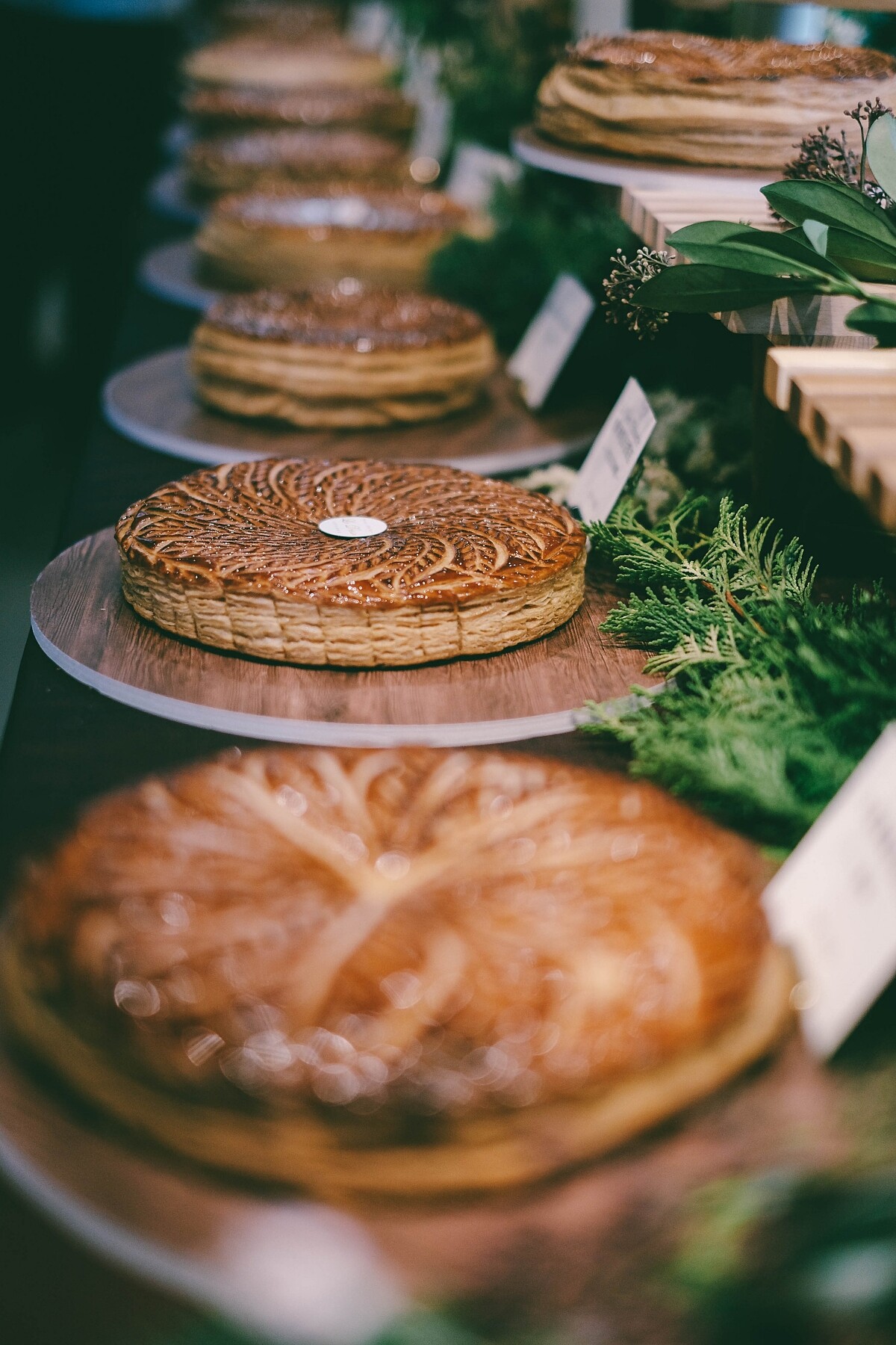 在法國國王派也有南北之分。