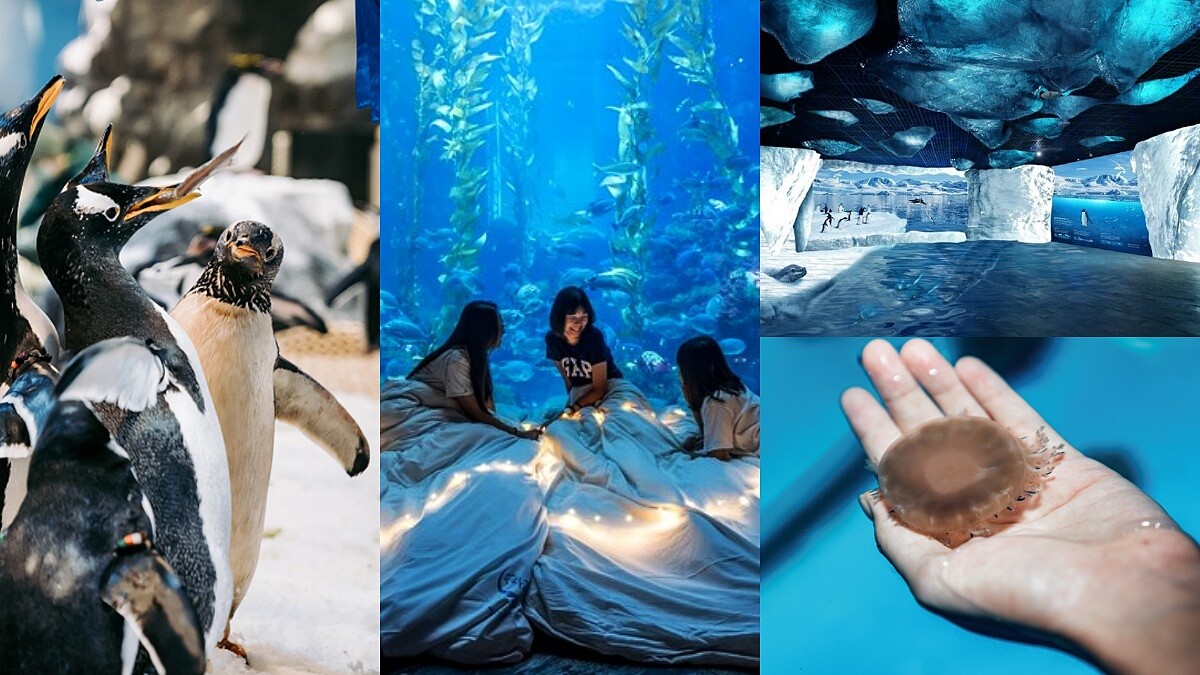 屏東海生館夜宿行程亮點公開！網美必拍5大景點、全新親子活動一次看