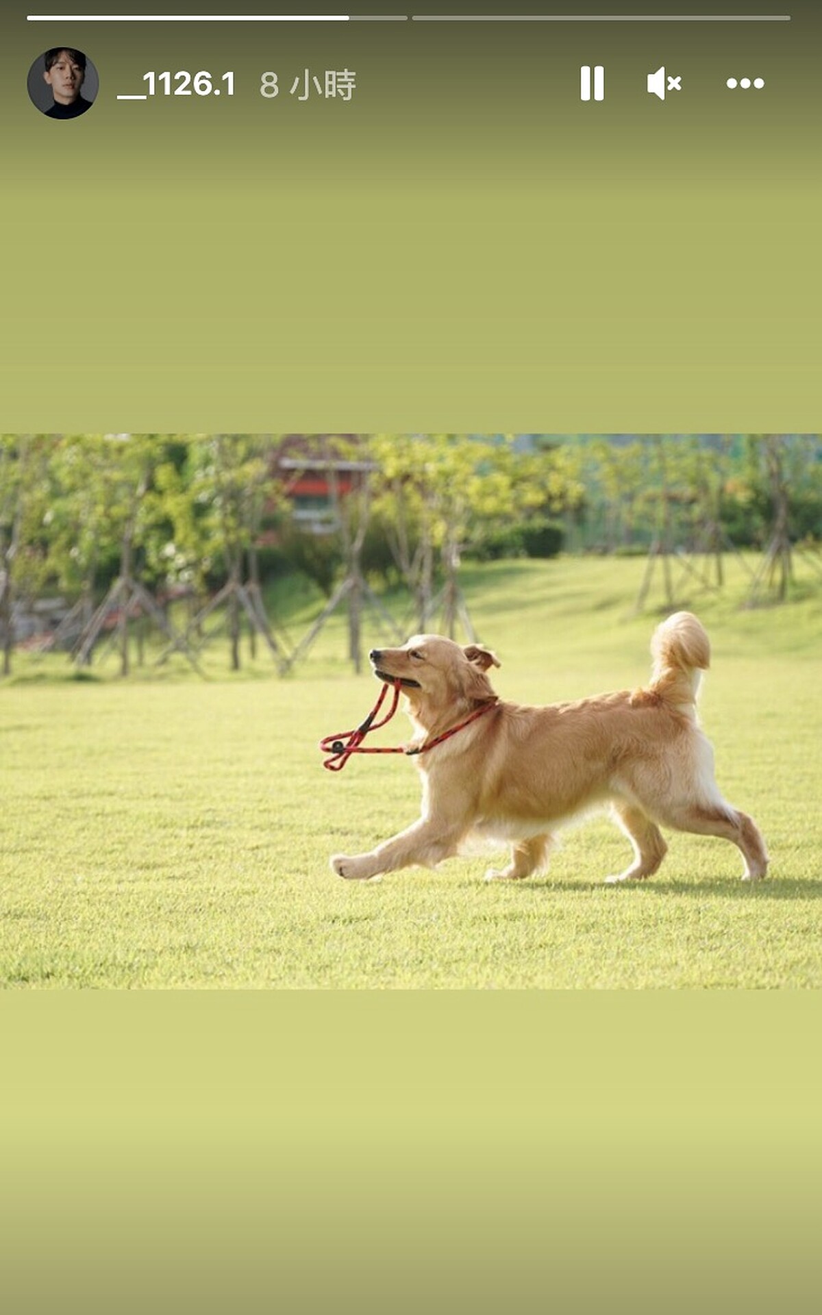 金賢中貼出狗狗動態宣示主權？