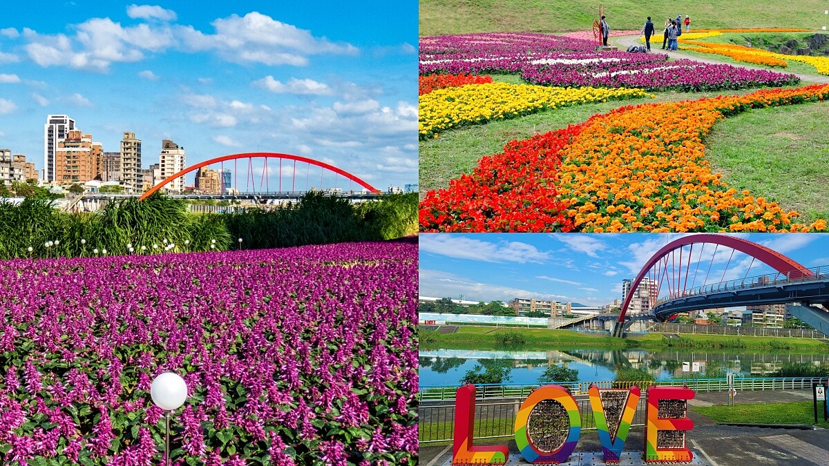 台北32萬盆紫爆花海捷運就能到！占地24座籃球場、蝴蝶花海超適合走春