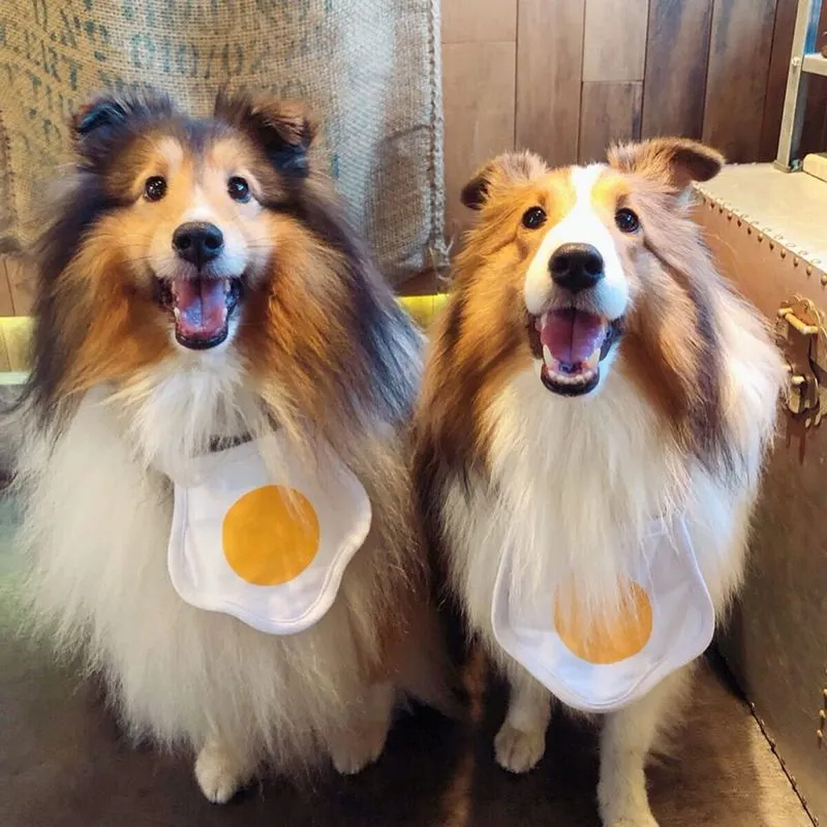 圖/IG @power.puff.peyton