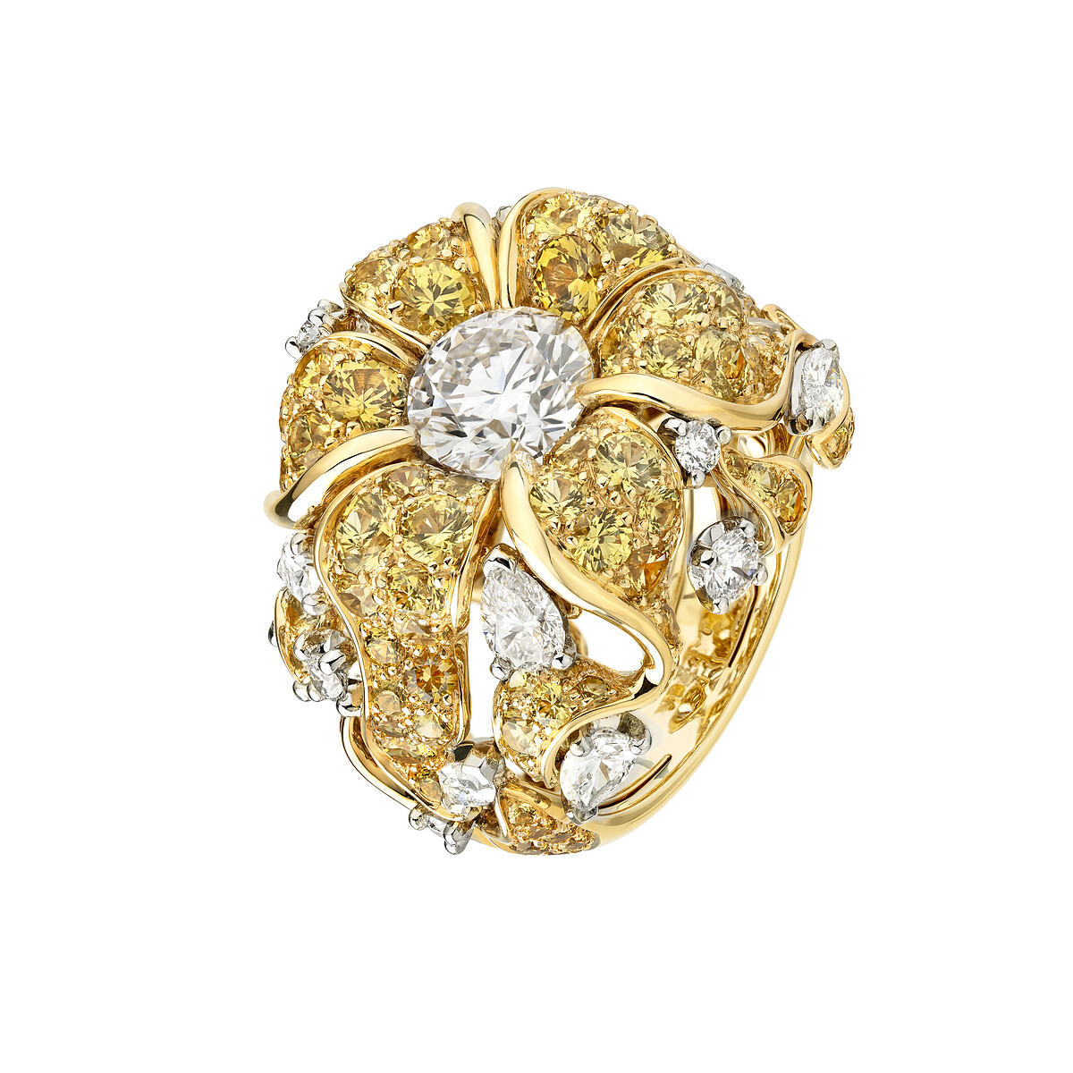 Ylang Ylang 系列 (新品)