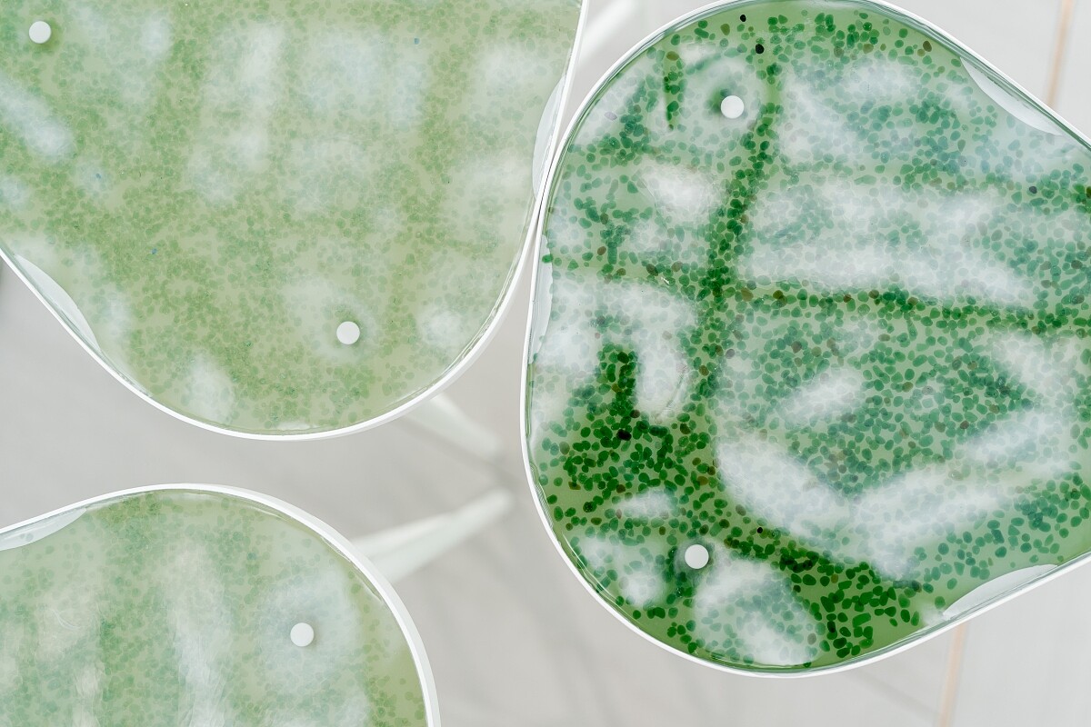 彡苗空間實驗以玻璃碎形解構打造家具設計。