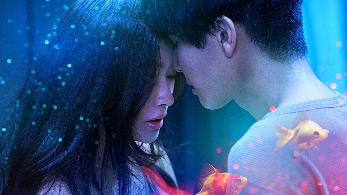 Netflix《金魚妻》獨家限制級漫改日劇 六位人妻跨越禁忌的外遇秘密