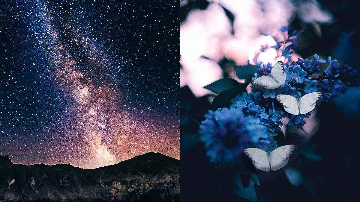 從生命流年數看2022年如何再創人生新格局 實現夢想（含線上計算工具）