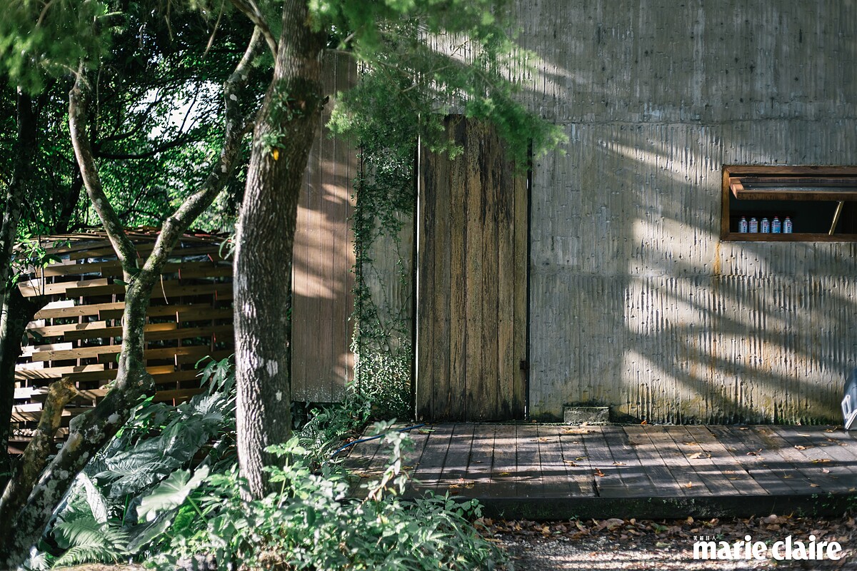 藝術家范承宗設計的餐廳和築巢計畫5紅嘴黑鵯