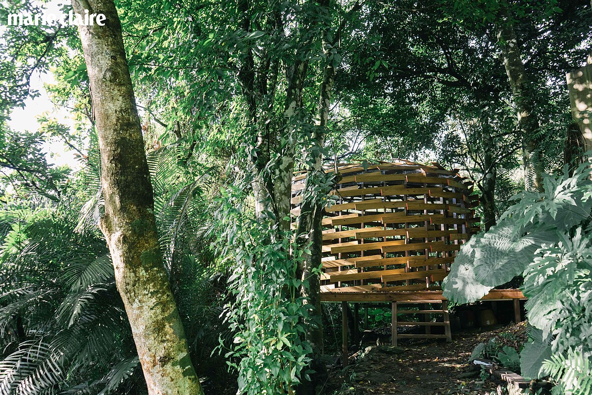 范承宗設計「築巢計畫5紅嘴黑鵯」